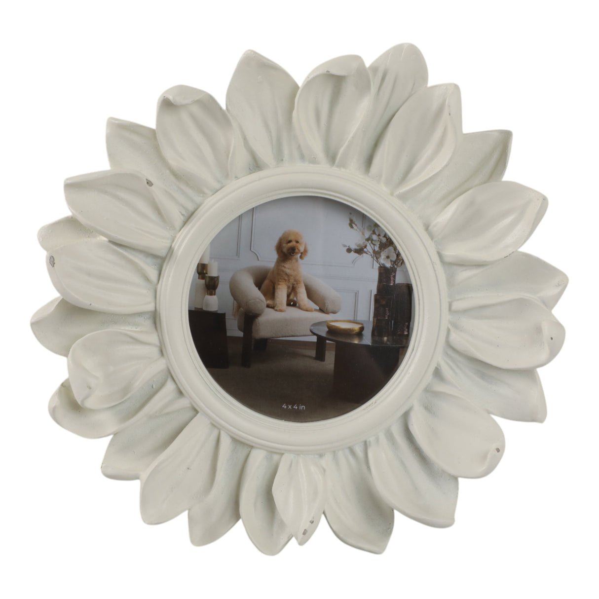4x4" Sunflower Photo Frame, Ivory