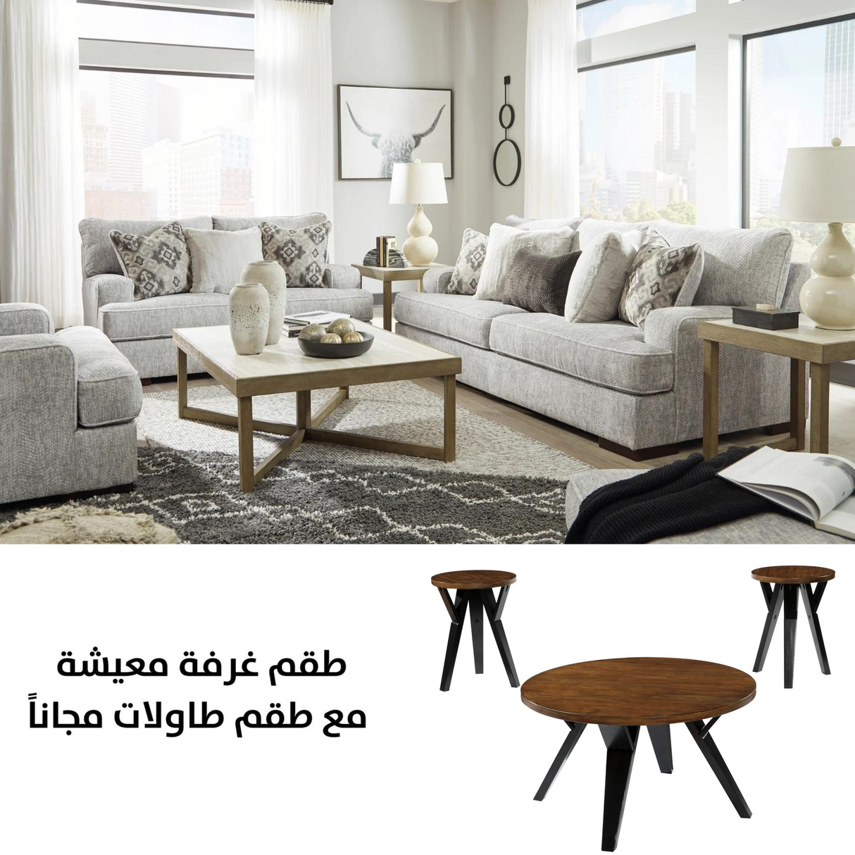 Mercado Sofa Set with FREE Table Set T267-13