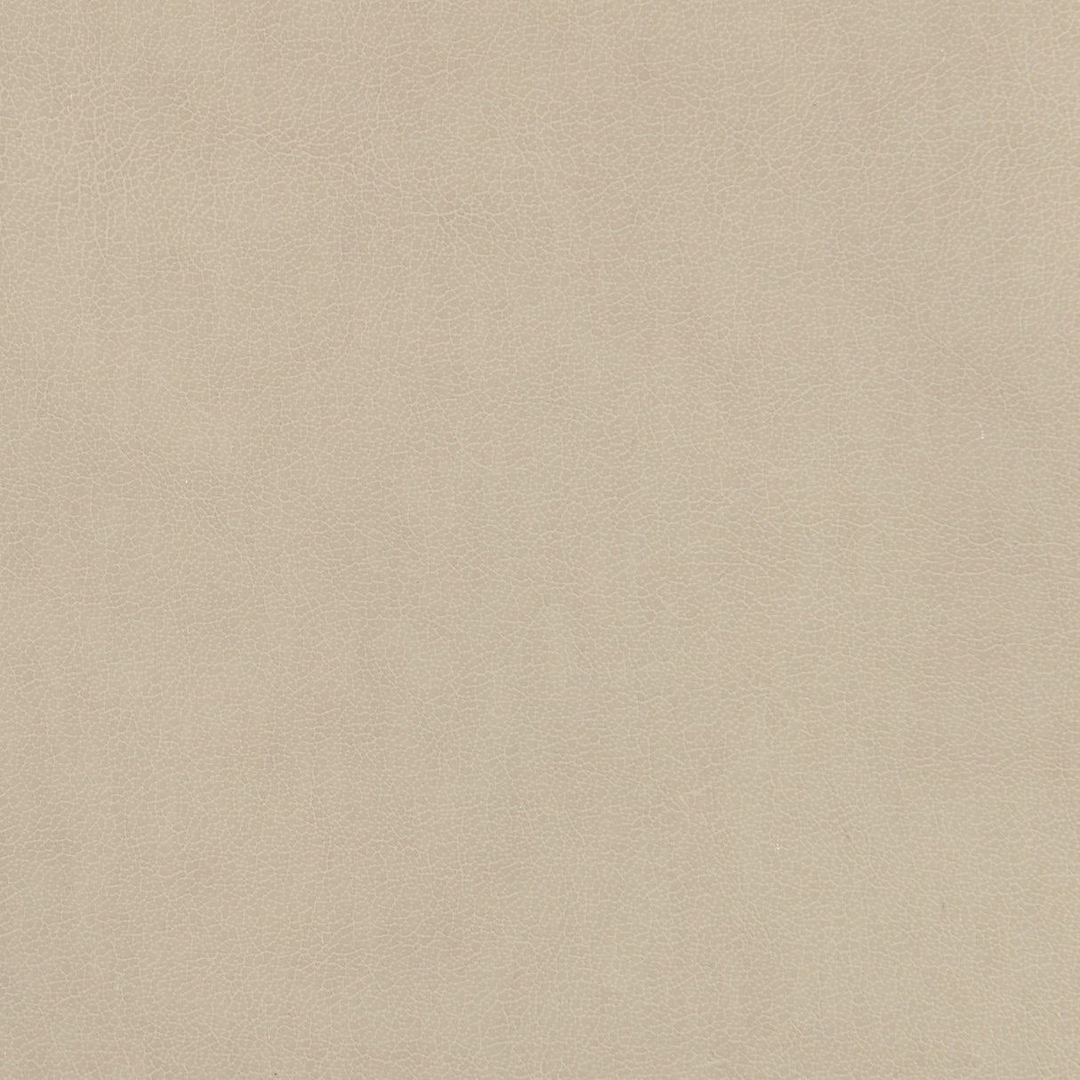 Caracole Classic - Tall Order Side Chair