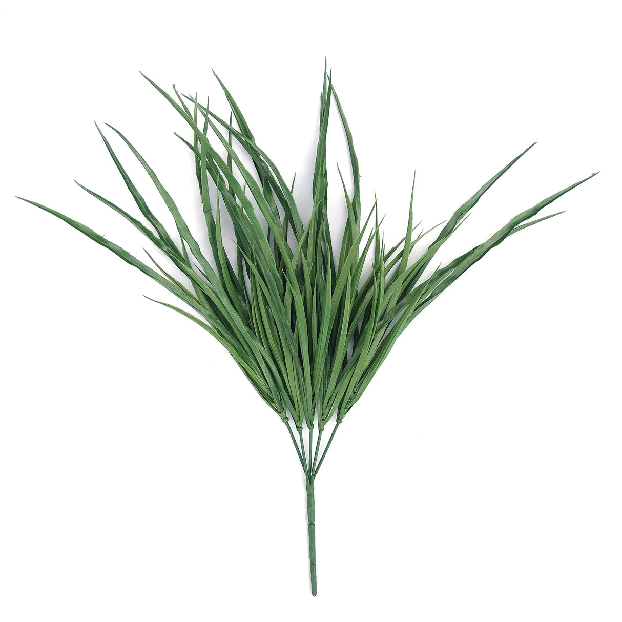 Long Stem River Grass Plant