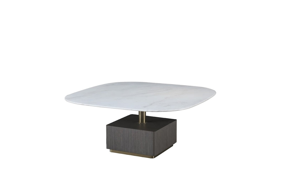 Mist Marble Coffee Table 1