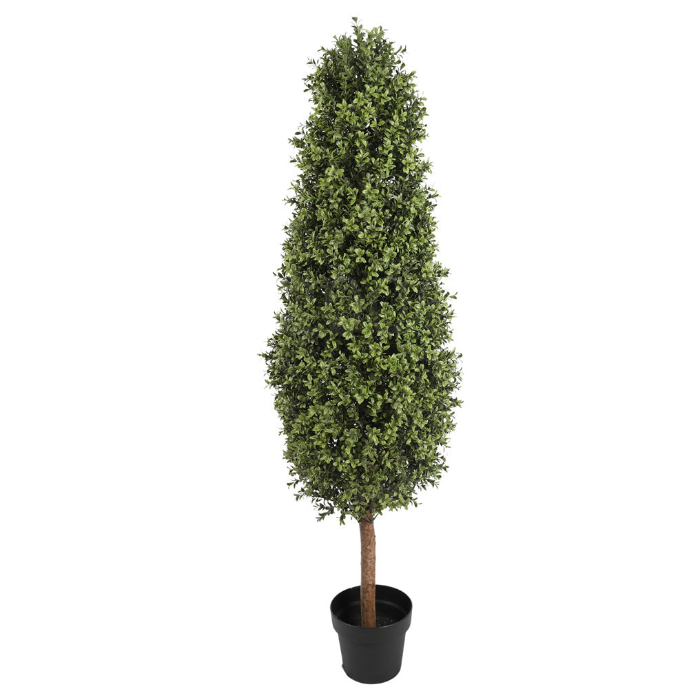150CM Height Buxus Oval Tree Outdoor UV Protected