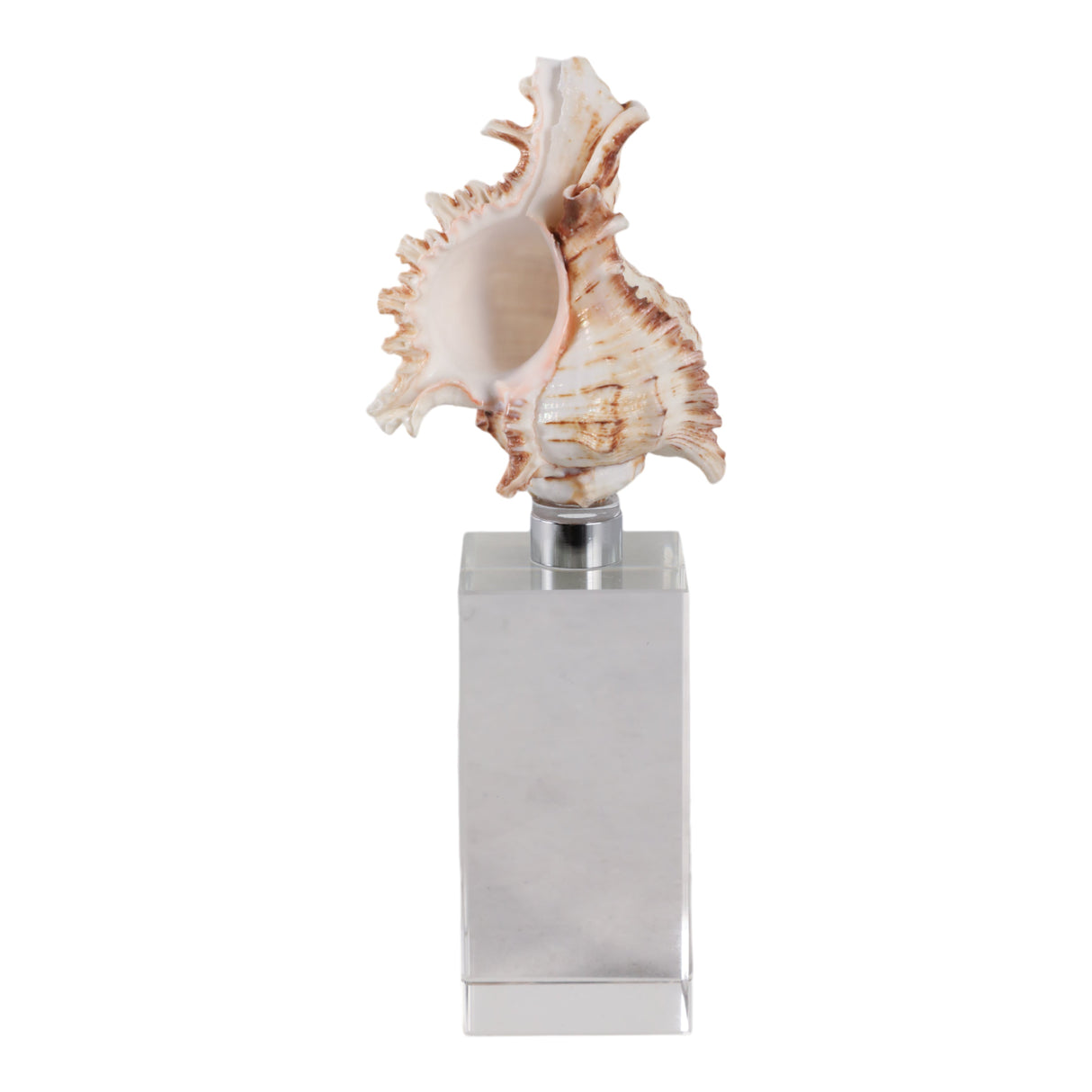 8x2" Shell On Crystal Base, Ivory/ Clear