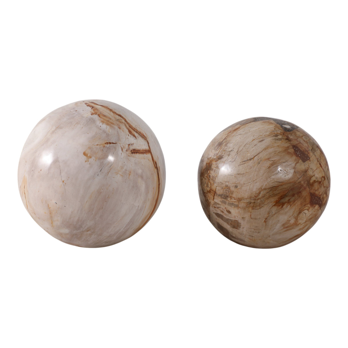S/2 5/6" Petrified Wood Orbs, Ivory