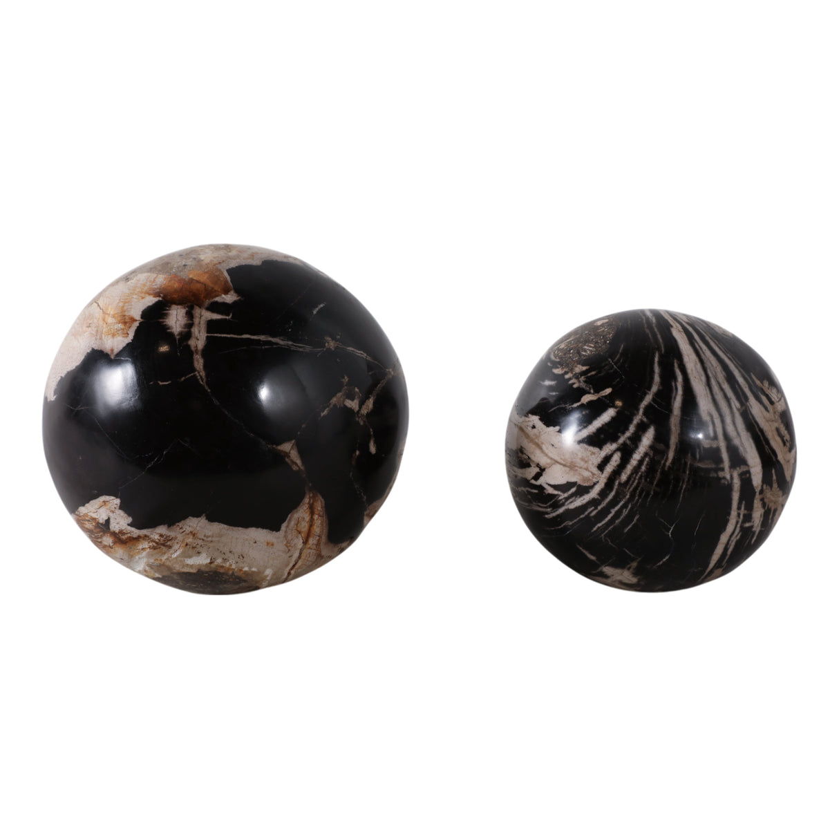 S/2 5/6" Petrified Wood Orbs, Black