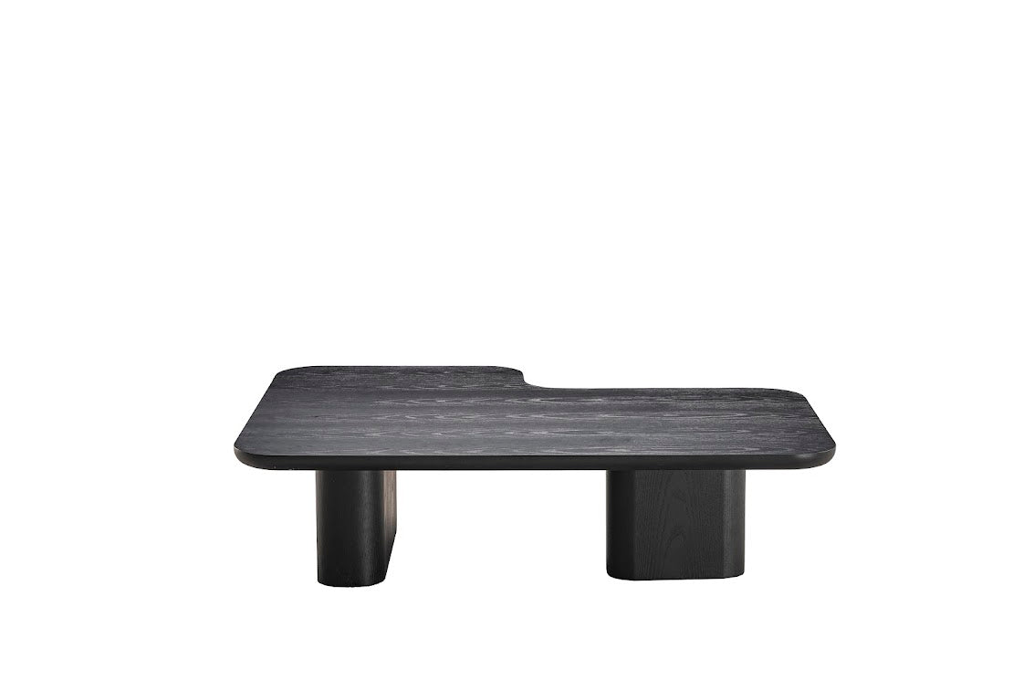 Moyn Coffee Table