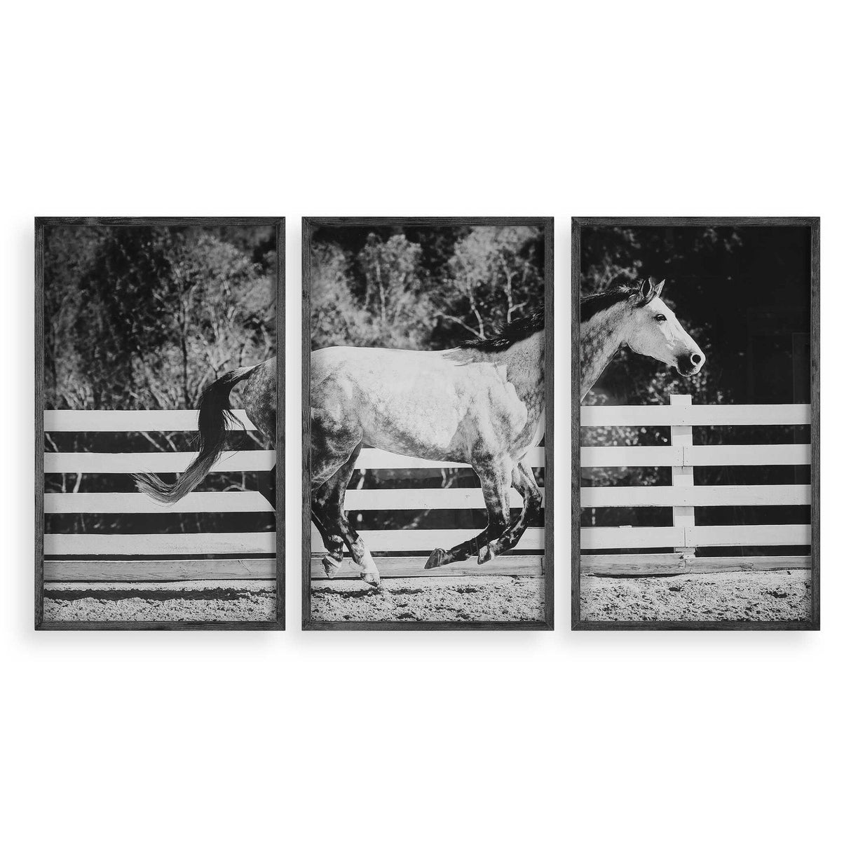 Uttermost Galloping Forward Equine Prints, Set/3