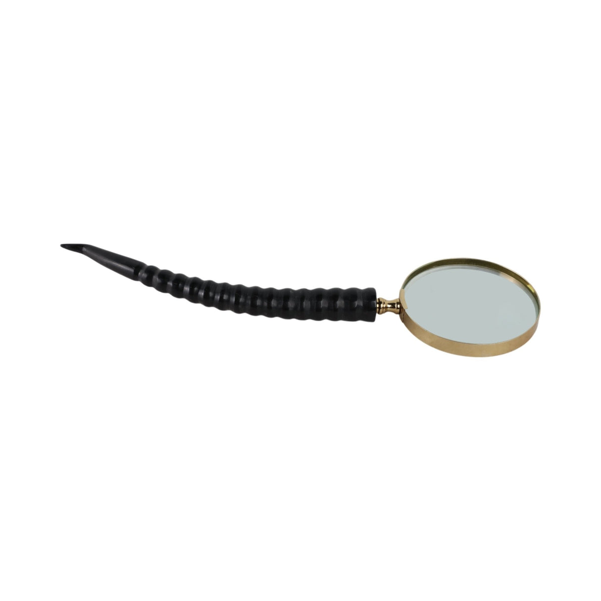 12" Lennon Horn Magnifying Glass