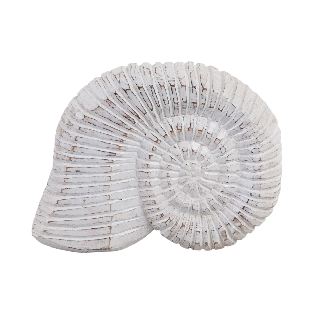 12" Wooden Snail Decor, Wht
