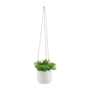 6" Chevron Hanging Planter