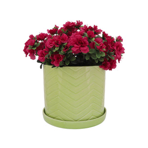 S/2 10/12" CHEVRON PLANTER W/ SAUCER, GREEN