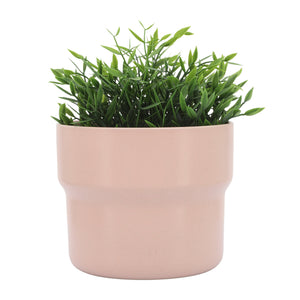 Cer, S/3 7/9/10"D Mushroom Planters, Blush