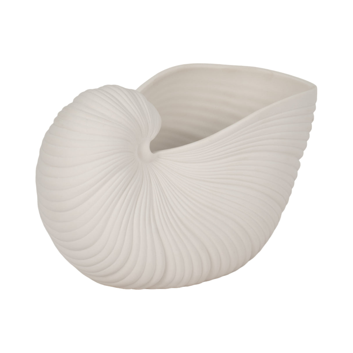 10" Nautilus Shell Planter, White