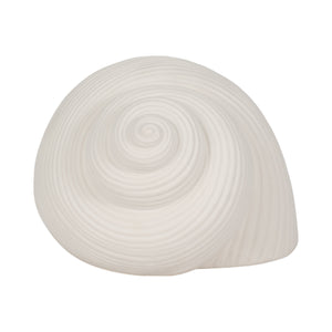 6" Bonnet Seashell, White