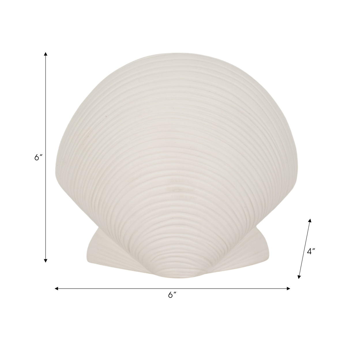 6" Seashell Decor, White