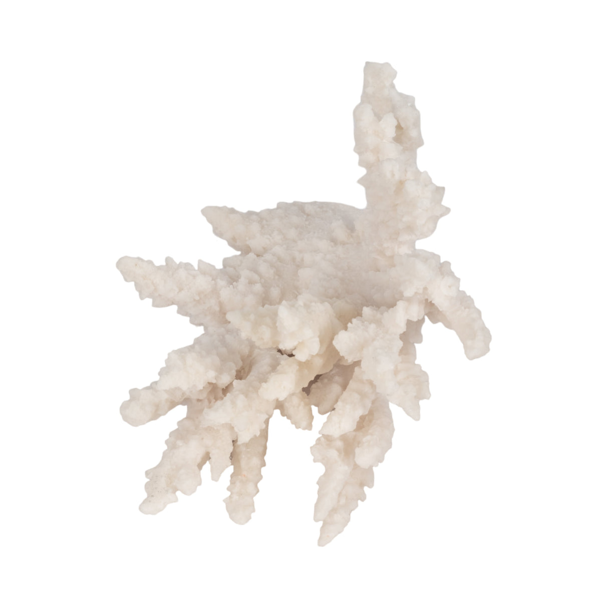 10" Coral Reef D?cor, White