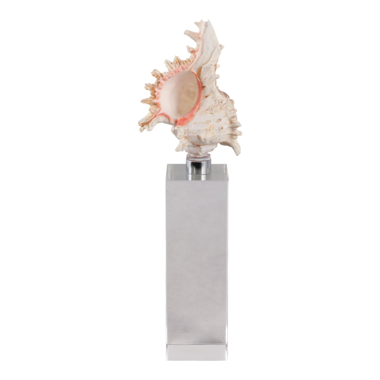 10x2" Shell On Crystal Base, Ivory/ Clear