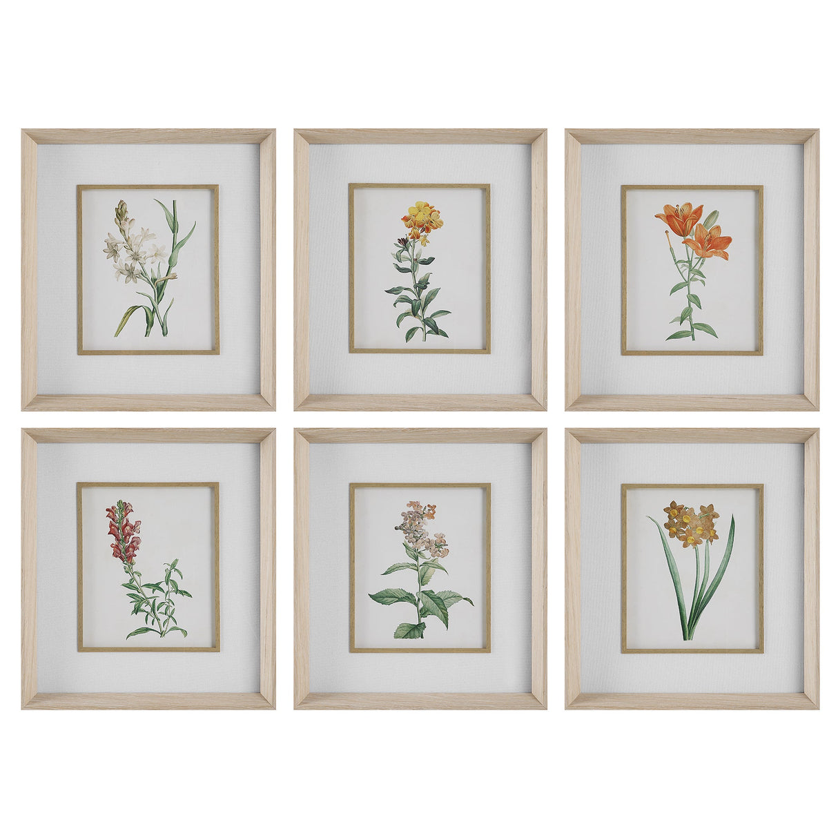 Uttermost Classic Botanicals Framed Prints Set/6