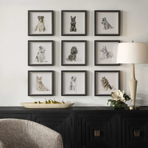 Loyal Companion Framed Dog Prints, S/9