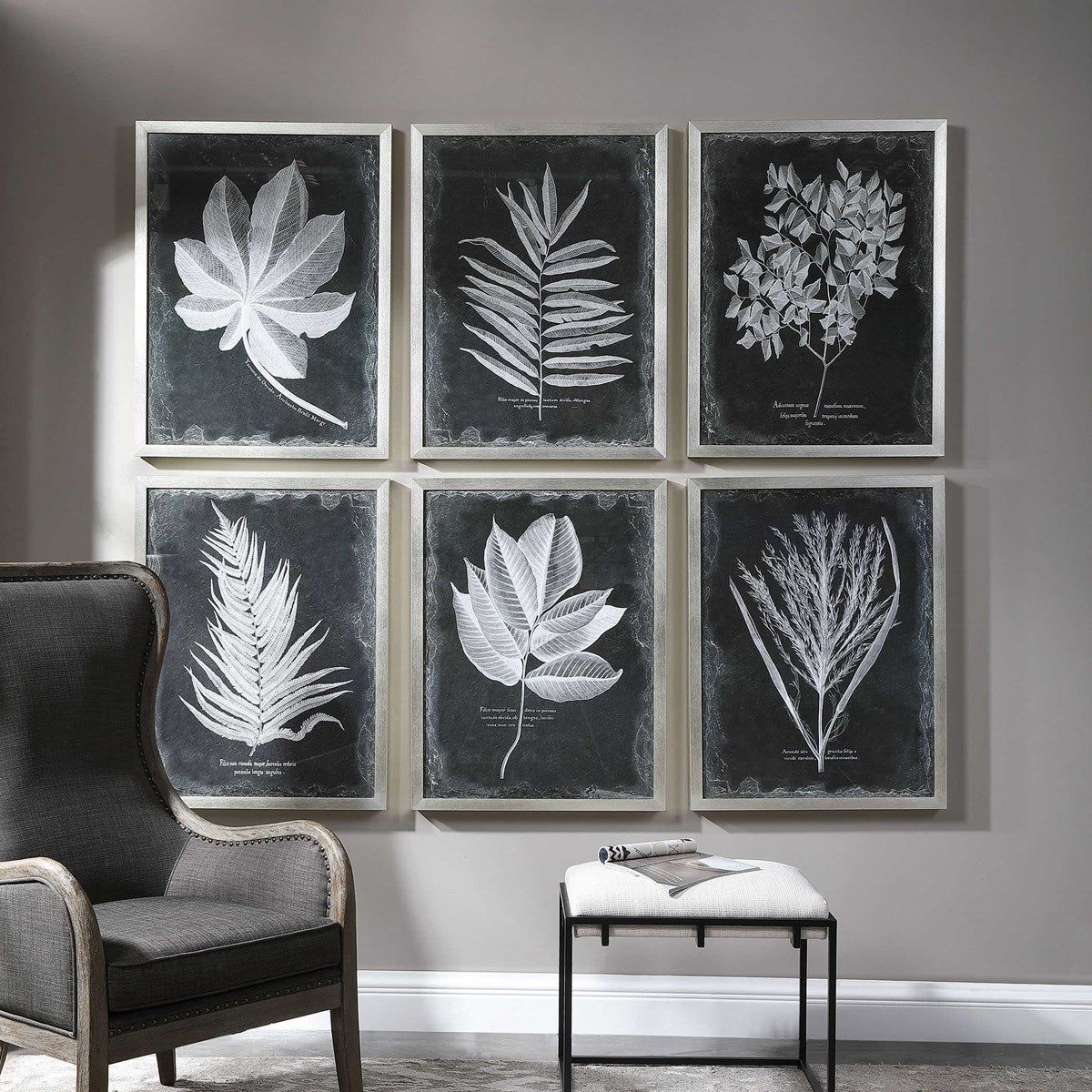 Foliage Framed Prints, S/6