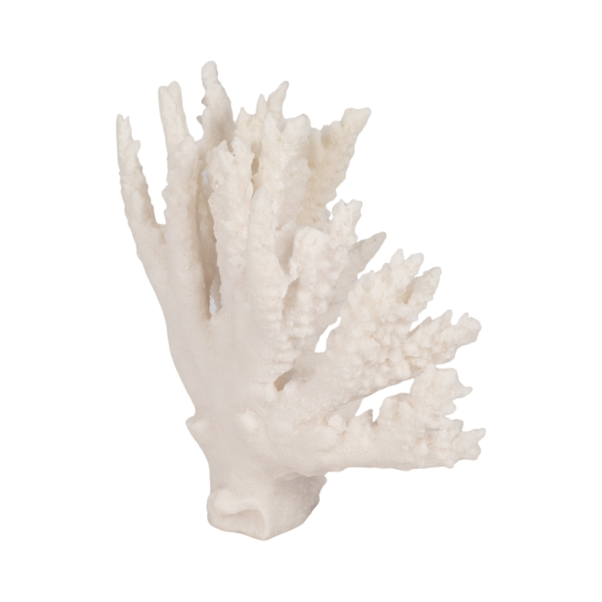 10" Coral Reef D?cor, White