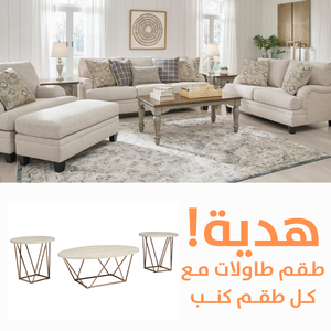 Bralynn  Sofa Set with FREE Table Set