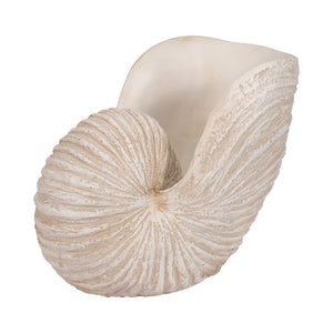 18" Shell Sculpture, Ivory