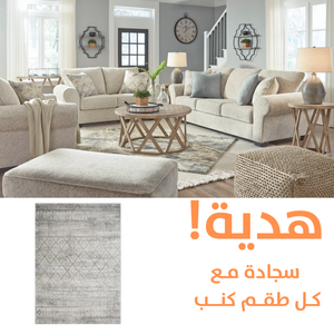 Haisley Sofa Set with FREE RUG