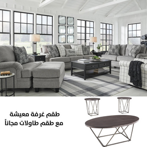 Davinca Sofa Set with FREE Table Set T384-13