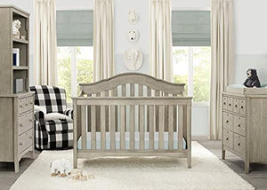 Farmhouse 2-in-1 Convertible Baby Crib