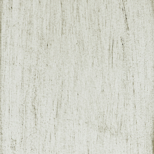 Bette Side Chair In White