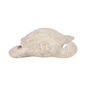 10" Sea Turtle, Ivory