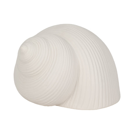 6" Bonnet Seashell, White