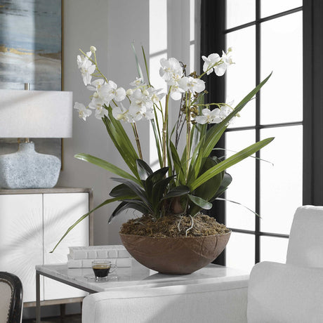 Moth Orchid Planter