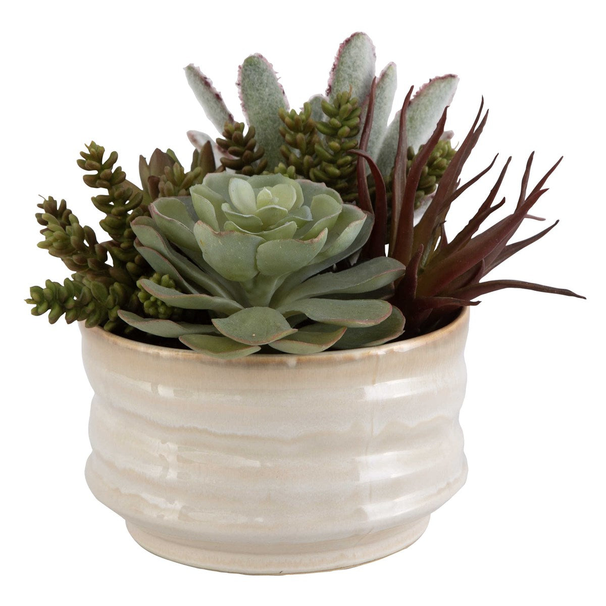 Mesa Succulent Accent