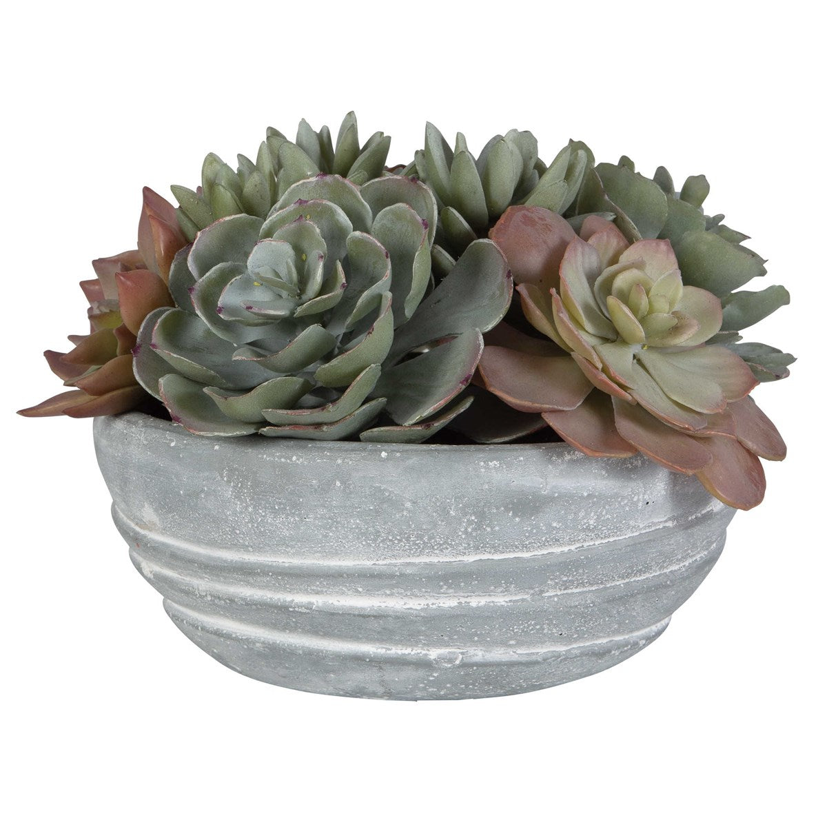 Peoria Succulent Accent