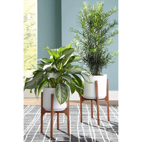 Dorcey Planter (Set of 2)