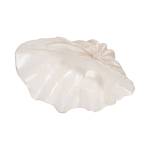 25" Pearlized Clam Shell Bowl, Ivory