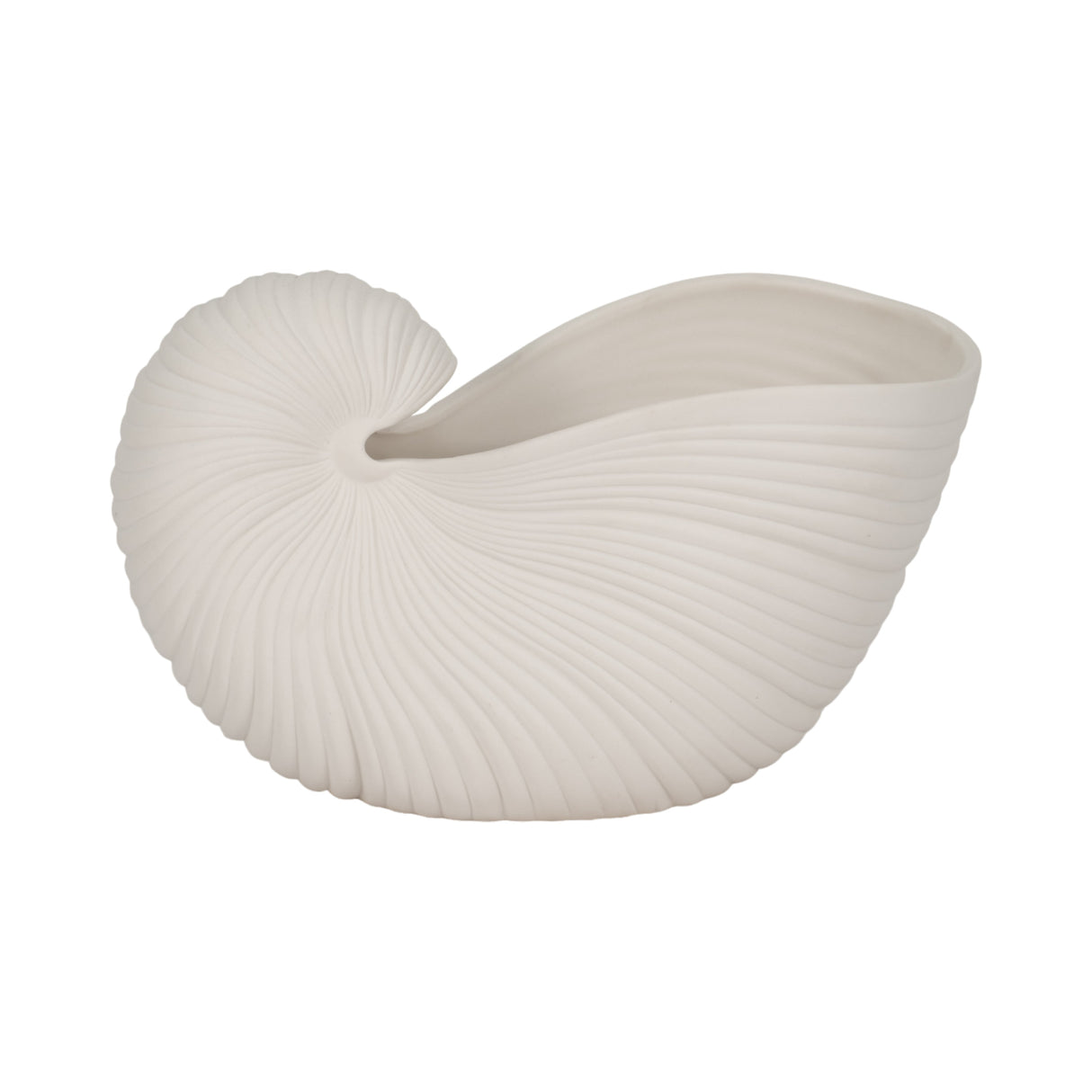 10" Nautilus Shell Planter, White