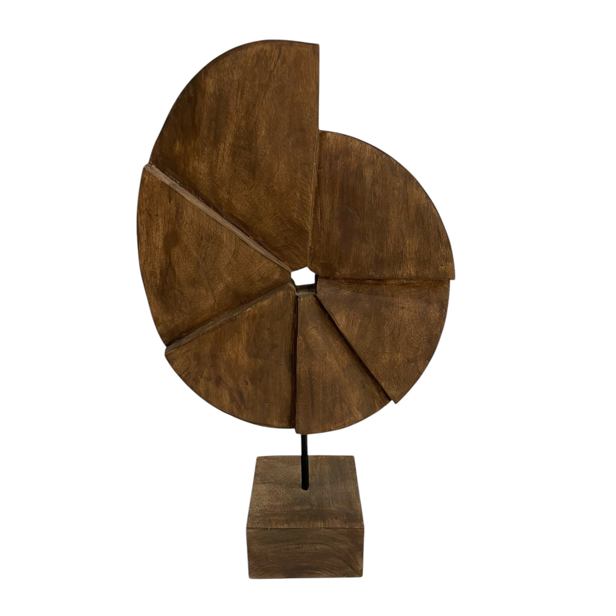 20x11" Abstract Shell On Base, Brown