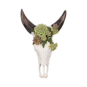 18" Bull Skull With Succulents, Multi