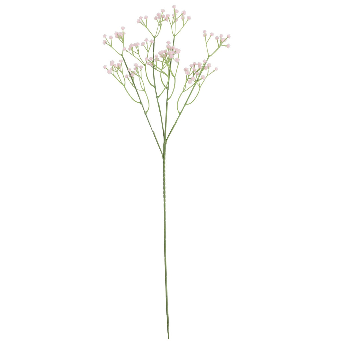 Baby's Breath Light Pink