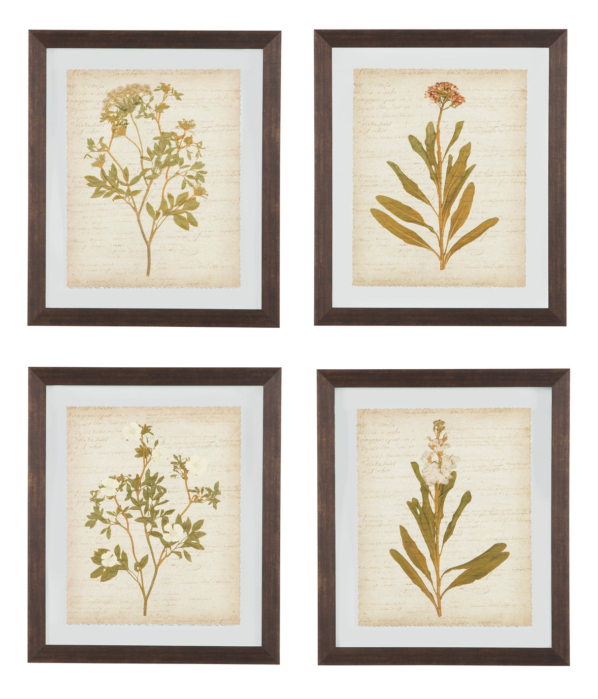 Dyani Wall Art (Set of 4)