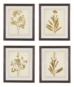 Dyani Wall Art (Set of 4)