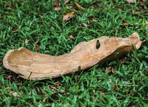 Teak Leaf Bowl