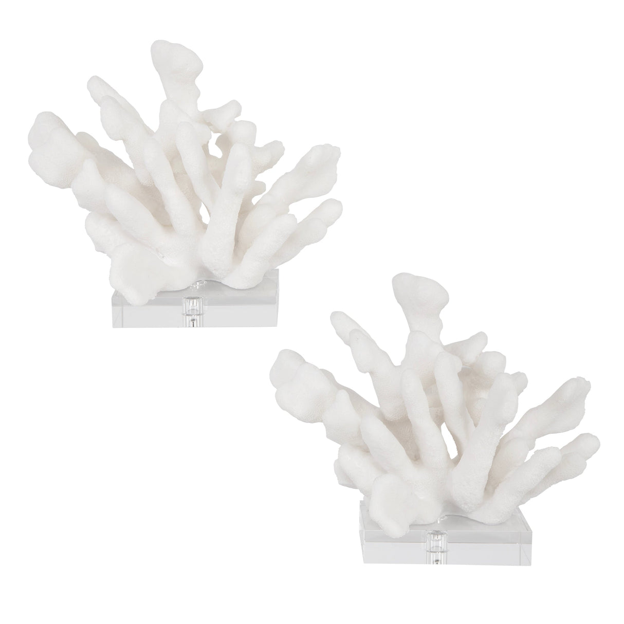 Charbel Bookends, S/2