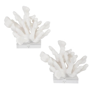 Charbel Bookends, S/2