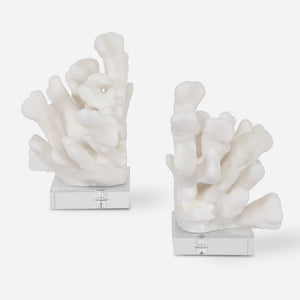 Charbel Bookends, S/2