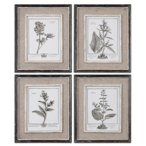 Casual Grey Study Framed Prints, S/4