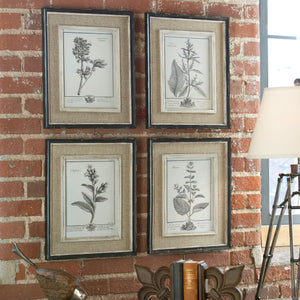 Casual Grey Study Framed Prints, S/4